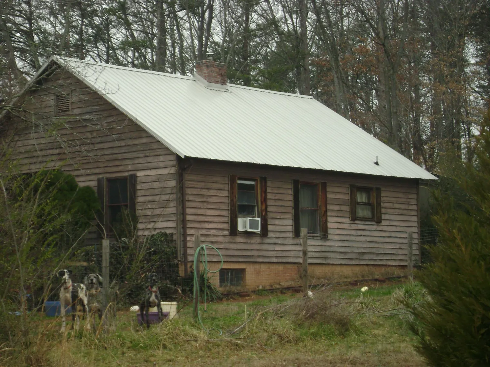White metal roof on an old wood sided farmhouse, from a Asphalt Shingle Roof Repair job in Chemung